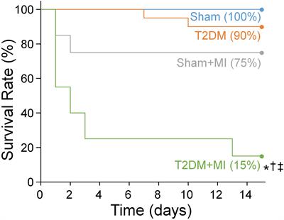 Reduced Cell Excitability of Cardiac Postganglionic Parasympathetic Neurons Correlates With Myocardial Infarction-Induced Fatal Ventricular Arrhythmias in Type 2 Diabetes Mellitus